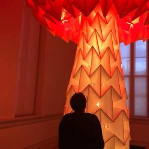 Meet your Posher, Janet